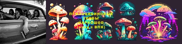 ECSTASY Богданович