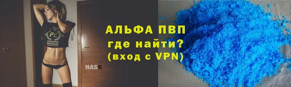 ECSTASY Богданович