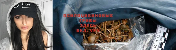 ECSTASY Богданович