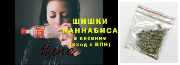 ECSTASY Богданович