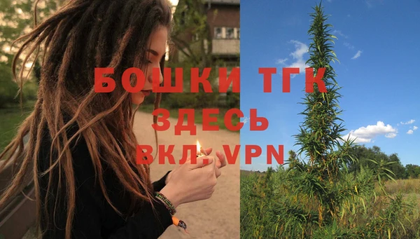 ECSTASY Богданович