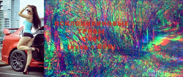ECSTASY Богданович