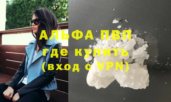 ECSTASY Богданович