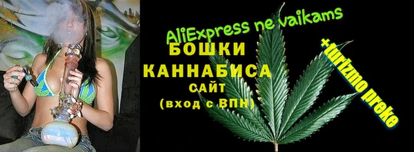 ECSTASY Богданович