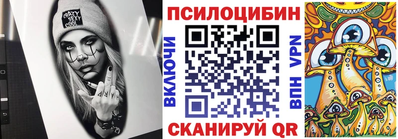 Псилоцибиновые грибы Psilocybe  Купить где  Терек 
