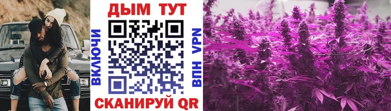 Купить где  Терек  Марихуана White Widow 